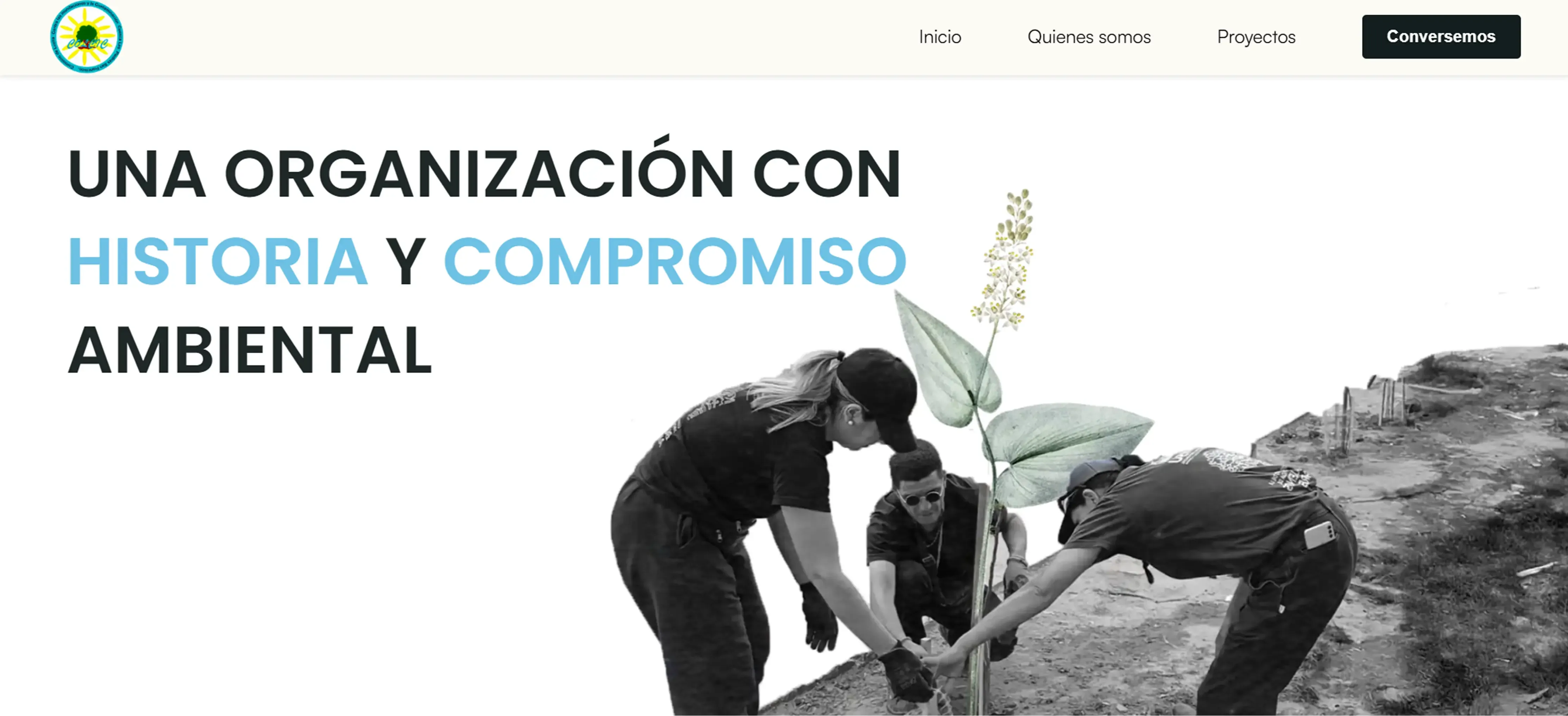 Colcic: captura 2 del sitio en desktop